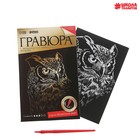 Гравюра «Сова» с металлическим эффектом «золото», 13х19 см - Фото 2