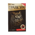 Гравюра «Сова» с металлическим эффектом «золото», 13х19 см - Фото 4