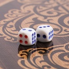 Нарды деревянные «Удав», кожа, настольная игра,60×60 см, фишка d=2.7 см, h=0.9 см, чёрные - Фото 14