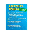 Растущая трава "Уточка" 12х8х11 см - Фото 5