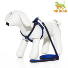 Комплект "Джинс", ширина 1 см, поводок 120 см, шлейка 25-40 см, синий - Фото 1