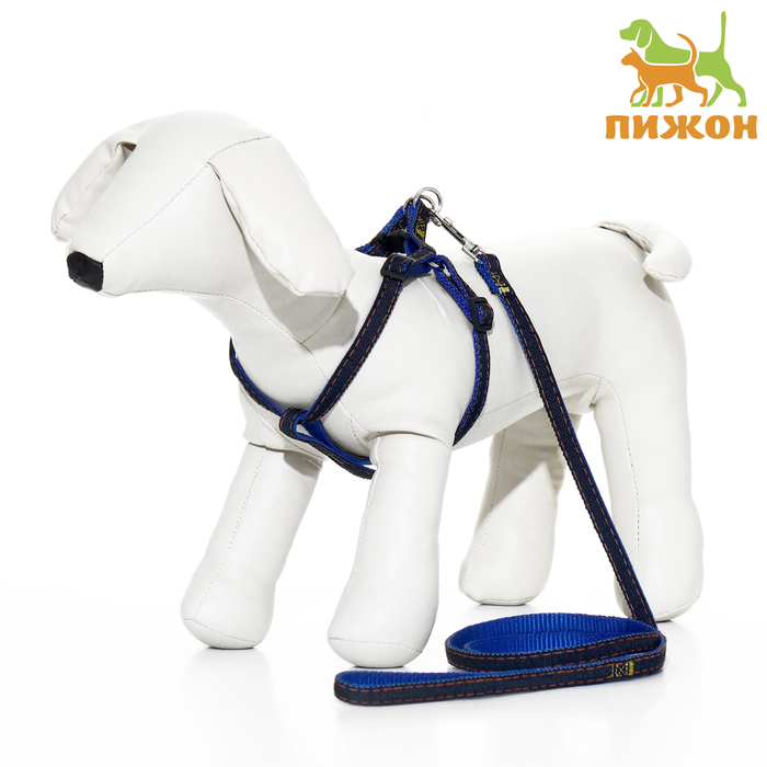 Комплект "Джинс", ширина 1 см, поводок 120 см, шлейка 25-40 см, синий - Фото 1