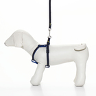 Комплект "Джинс", ширина 1 см, поводок 120 см, шлейка 25-40 см, синий - Фото 9