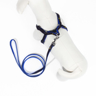 Комплект "Джинс", ширина 1 см, поводок 120 см, шлейка 25-40 см, синий - Фото 2