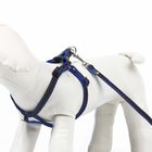 Комплект "Джинс", ширина 1 см, поводок 120 см, шлейка 25-40 см, синий - Фото 3