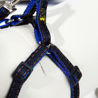 Комплект "Джинс", ширина 1 см, поводок 120 см, шлейка 25-40 см, синий - Фото 5