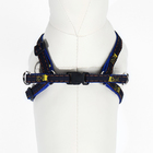 Комплект "Джинс", ширина 1 см, поводок 120 см, шлейка 25-40 см, синий - Фото 6