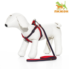 Комплект "Джинс", ширина 1 см, поводок 120 см, шлейка 25-40 см, красный - Фото 1