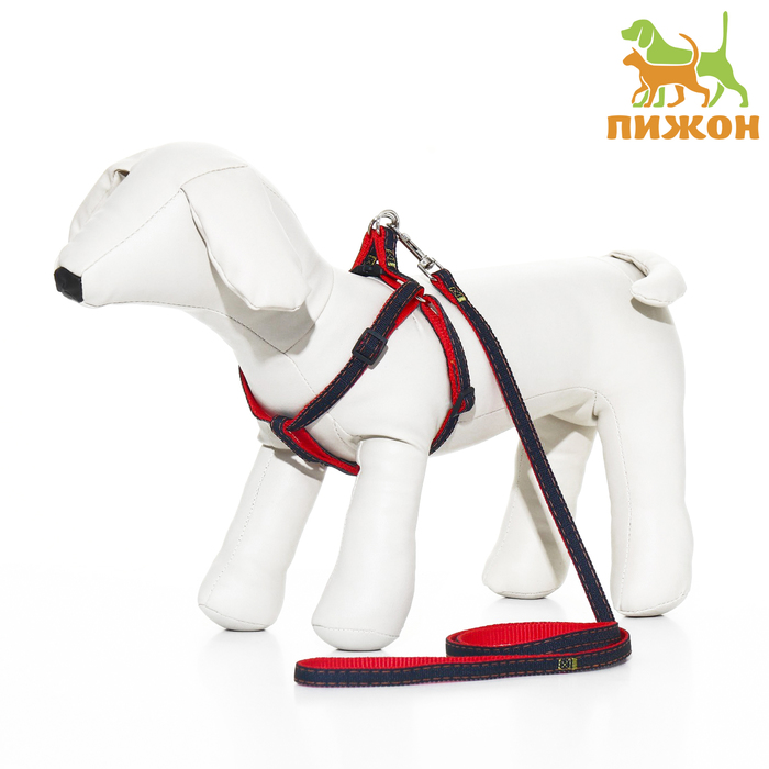 Комплект "Джинс", ширина 1 см, поводок 120 см, шлейка 25-40 см, красный - Фото 1