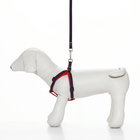 Комплект "Джинс", ширина 1 см, поводок 120 см, шлейка 25-40 см, красный - Фото 9