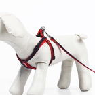 Комплект "Джинс", ширина 1 см, поводок 120 см, шлейка 25-40 см, красный - Фото 3