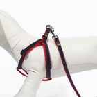 Комплект "Джинс", ширина 1 см, поводок 120 см, шлейка 25-40 см, красный - Фото 4