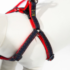 Комплект "Джинс", ширина 1 см, поводок 120 см, шлейка 25-40 см, красный - Фото 5