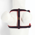 Комплект "Джинс", ширина 1 см, поводок 120 см, шлейка 25-40 см, красный - Фото 7