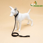 Ринговка для собак, 130×0.8 см, чёрная - Фото 4