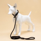 Ринговка для собак, 130×0.8 см, чёрная - Фото 7