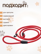 Ринговка для собак, 130×0.8 см, красная - Фото 2