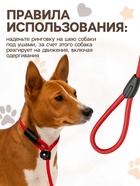 Ринговка для собак, 130×0.8 см, красная - Фото 3