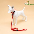 Ринговка для собак, 130×0.8 см, красная - Фото 4