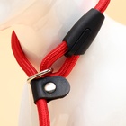 Ринговка для собак, 130×0.8 см, красная - Фото 5