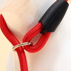 Ринговка для собак, 130×0.8 см, красная - Фото 6