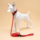 Ринговка для собак, 130×0.8 см, красная - Фото 7