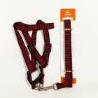 Комплект амуниции рельефный, 1.5 см, шлейка 36-49 см, поводок 120 см, красно-чёрный - Фото 7