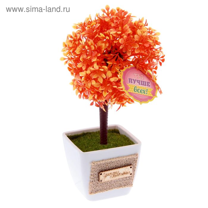 Декоративное мини–дерево «Ты лучше всех на свете», 22 × 10.5 см - Фото 1