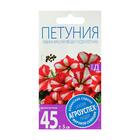 Семена цветов Петуния Лавина красная звезда, суперкаскадная F1, однолетник, 10 шт - Фото 2