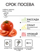 Семена Томат балконный «Хурма», детерминантный, среднерослый 0.1 г, «Евро-семена» - Фото 2
