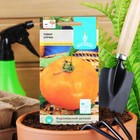 Семена Томат балконный «Хурма», детерминантный, среднерослый 0.1 г, «Евро-семена» - Фото 3