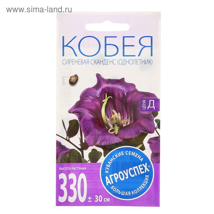 Семена цветов Кобея "Сканденс", 4 шт - Фото 1