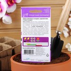 Семена цветов Кобея "Сканденс", 4 шт - Фото 4