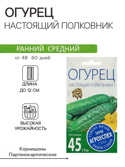 Семена Огурец Настоящий полковник F1, ранний, партенокарпический, 8 шт