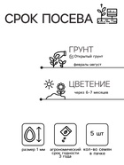 Семена цветов Эустома Эхо Йеллоу желтая, драже, 5 шт - Фото 4