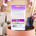 Семена цветов Дельфиниум "Гроздь Сапфиров", 0,2 г - Фото 5