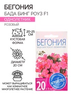 Семена комнатных цветов Бегония "Бада Бинг Роуз", 10 шт. - Фото 1