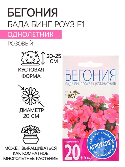 Семена комнатных цветов Бегония "Бада Бинг Роуз", 10 шт.