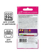 Семена комнатных цветов Бегония "Бада Бинг Роуз", 10 шт. - Фото 3