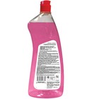 Средство для мытья посуды Prosept Cooky Fruits, концентрат, 1 л - Фото 2