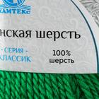 Пряжа "Аргентинская шерсть" 100% импортная п/т шерсть 200м/100гр (044, трава) - Фото 2