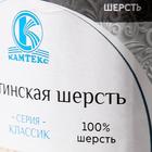 Пряжа для вязания спицами, крючком «Камтекс. Аргентинская шерсть», 100% импортная полутонкая шерсть 200 м/100 г, (003 чёрный) - Фото 2