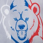 Полотенце махровое "Русский медведь", размер 50х90 см, 420 гр/м2 - Фото 2