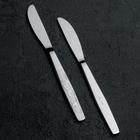 Нож детский столовый «Непоседа», h=17,5 см, толщина 2 мм, цвет серебряный - фото 8446253