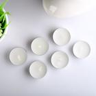 Набор ароматических свечей чайных «Ландыш», 6 шт., 3.8×1.6 см, 3.5 ч, 12 г - Фото 3