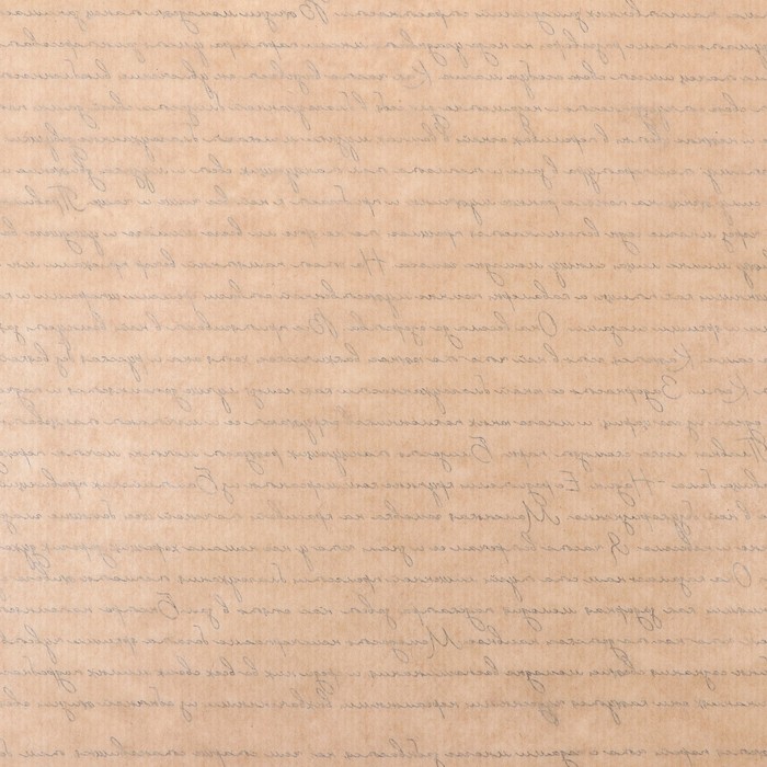 Бумага упаковочная крафт "Письмо Татьяне", 0.6 х 10 м, 70 г/м² /м2 - фото 1898006866
