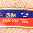 Пряжа "Аргентинская шерсть" 100% импортная шерсть 200м/100гр (151, светлый персик) - Фото 3