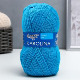 Пряжа Karolina (Каролина) 100% акрил 438м/100гр (54113 т.бир.новый) 1294896