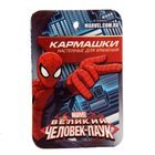 Кармашки настенные на 5 отделений "Супергерой", Человек-Паук - Фото 3