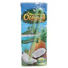 Напиток «Фруктовый остров» ананас-кокос, 0,2 л - Фото 2